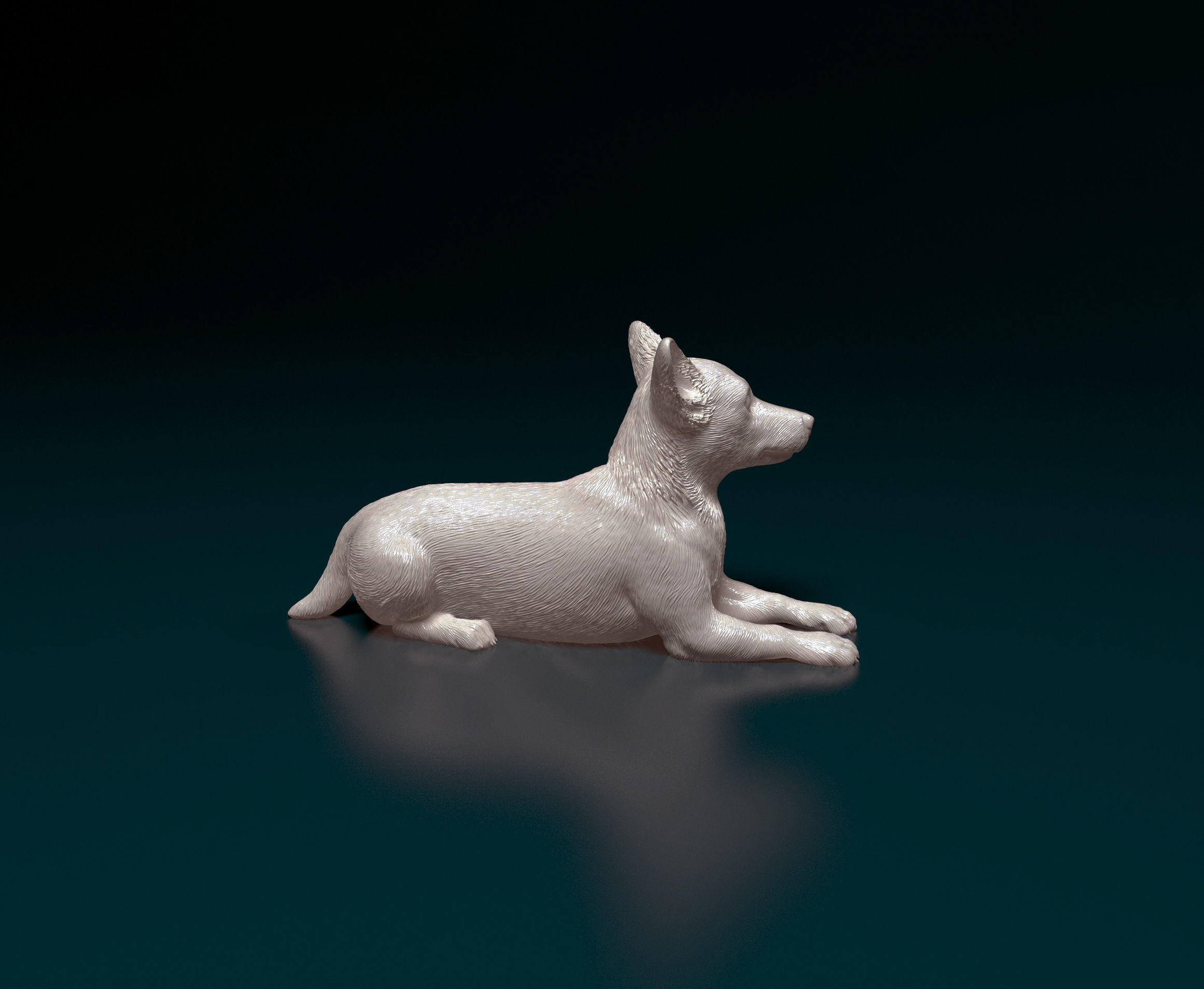 Jack Russell terrier 3D print model_2