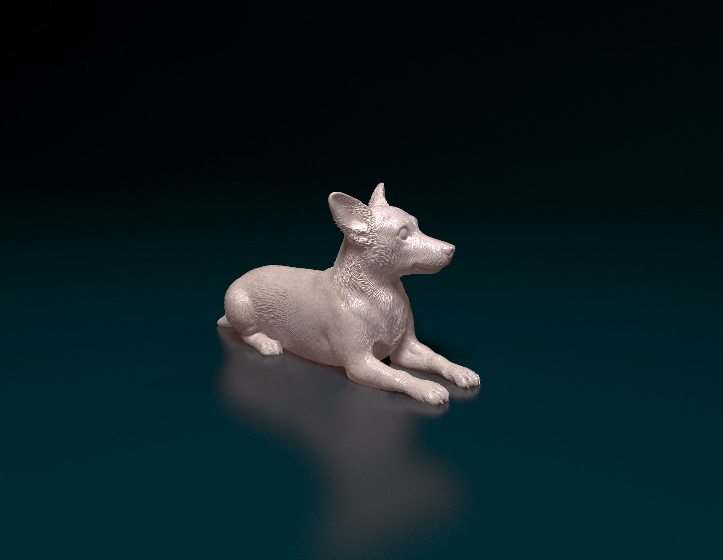 Jack Russell terrier 3D print model_1