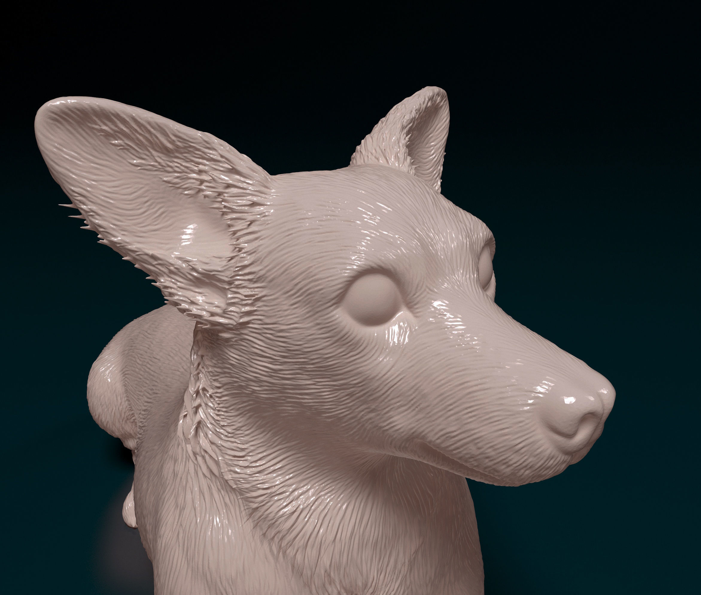 Jack Russell terrier 3D print model_7