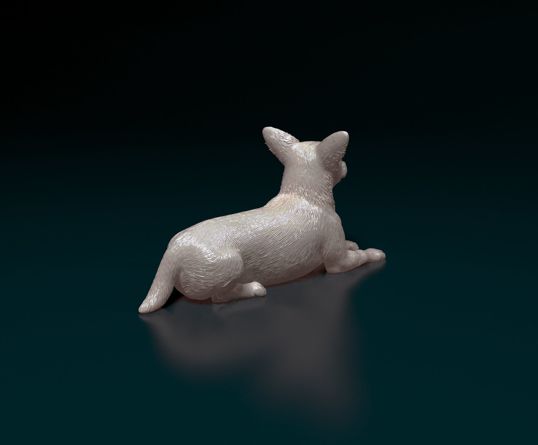Jack Russell terrier 3D print model_3