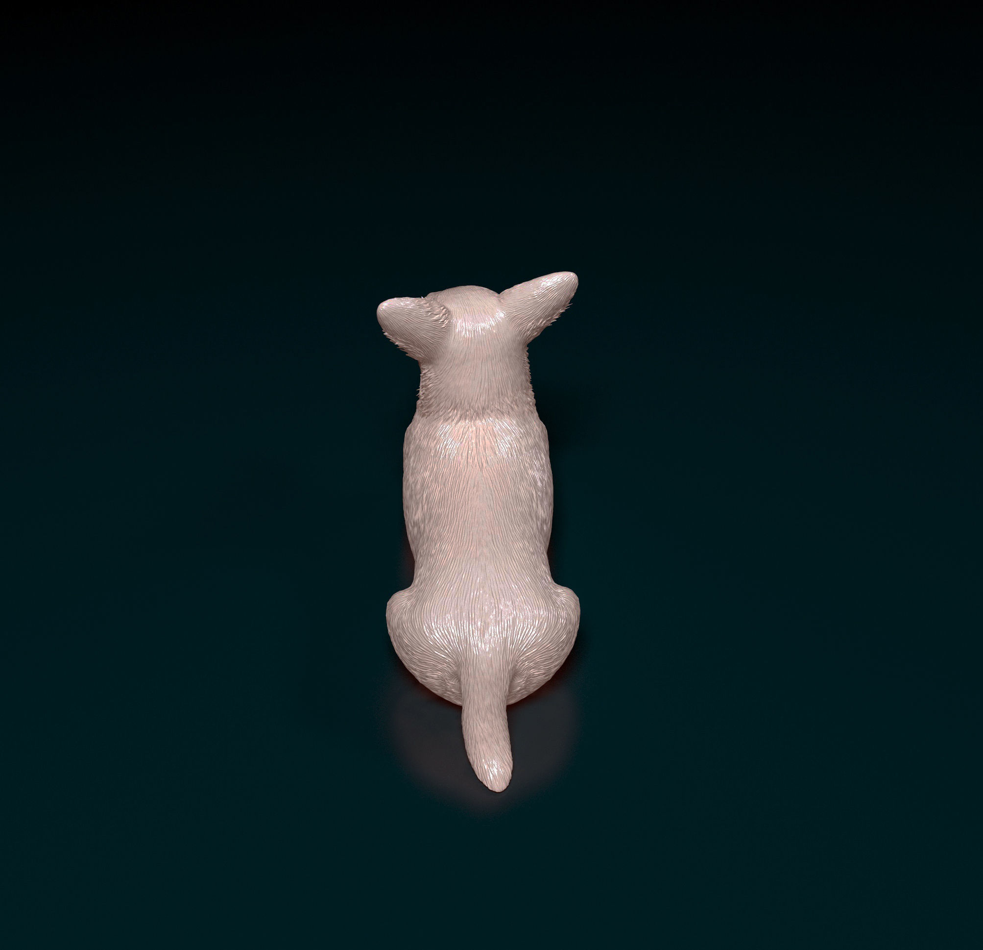 Jack Russell terrier 3D print model_4
