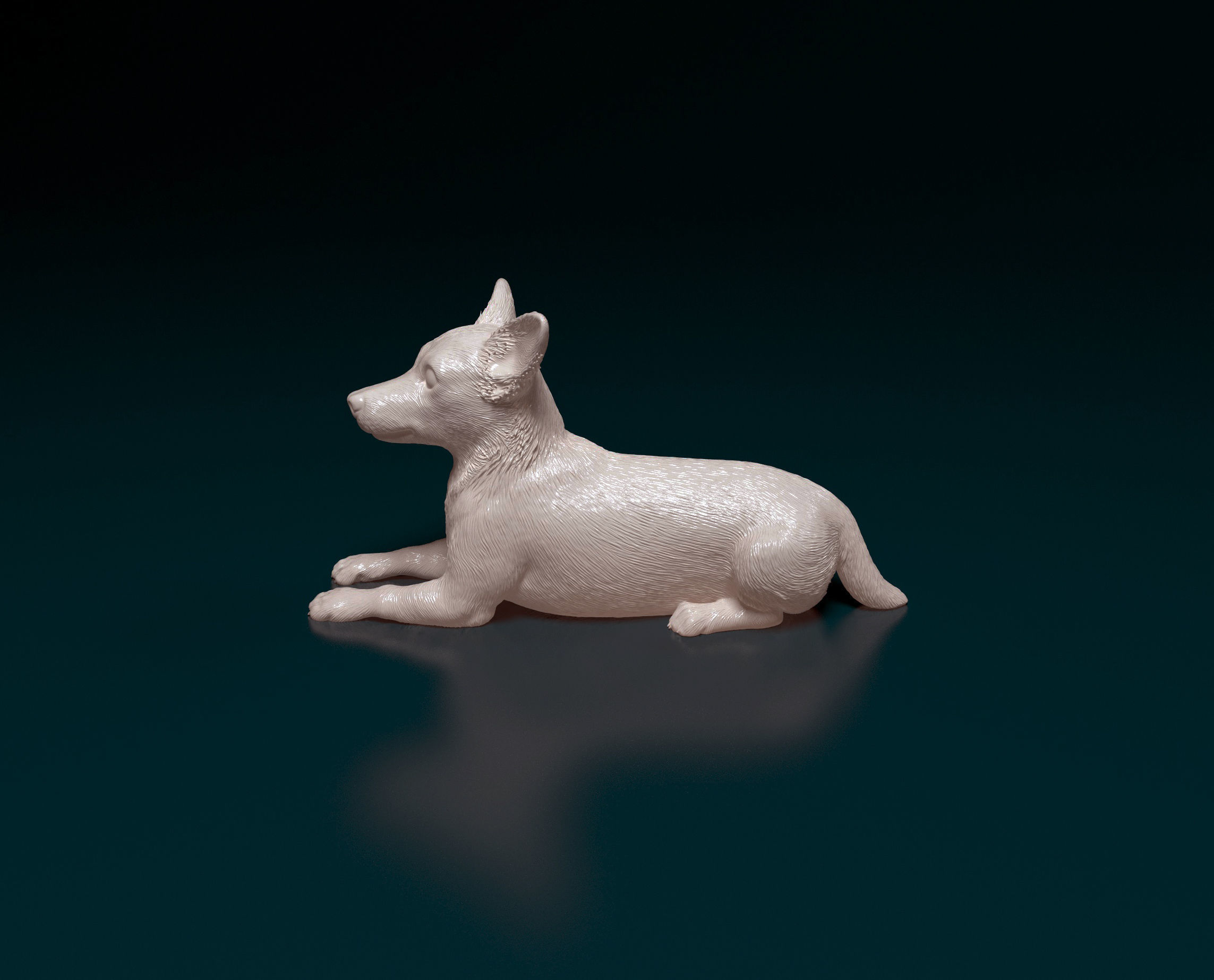 Jack Russell terrier 3D print model_6