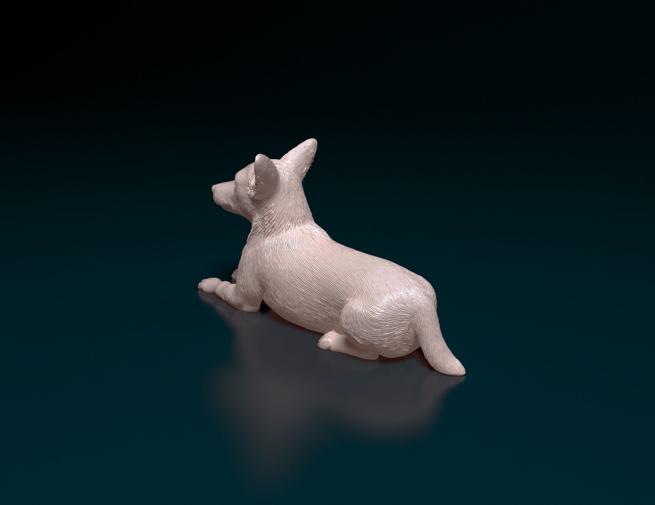 Jack Russell terrier 3D print model_5