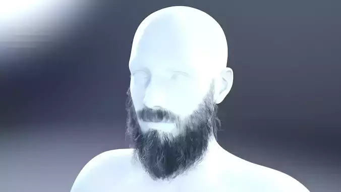 Knight beard low poly hair cards  Low-poly 3D model