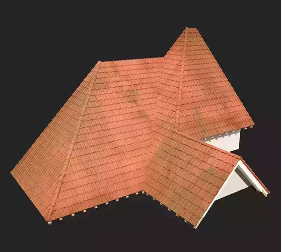 Realistic Roof Collections 23
