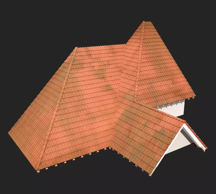 Realistic Roof Collections 23 3D model_0