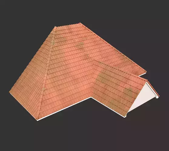 Realistic Roof Collections 27