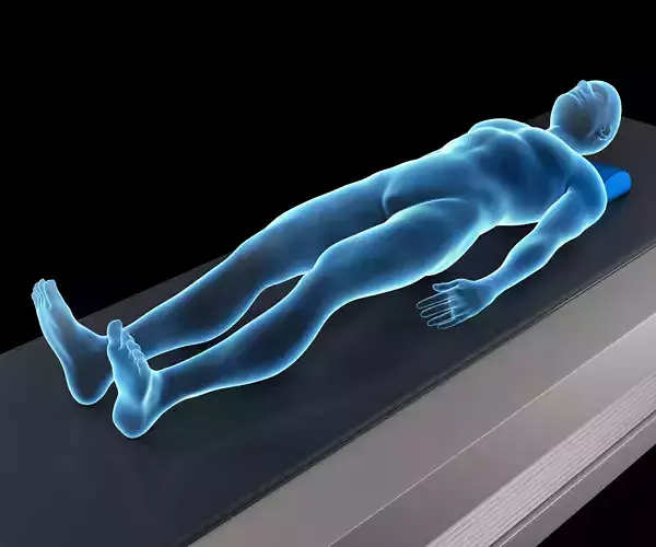 Medical Body Scan 3D model