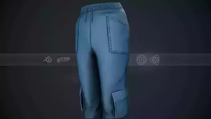  Blue Sport Pants Style 1