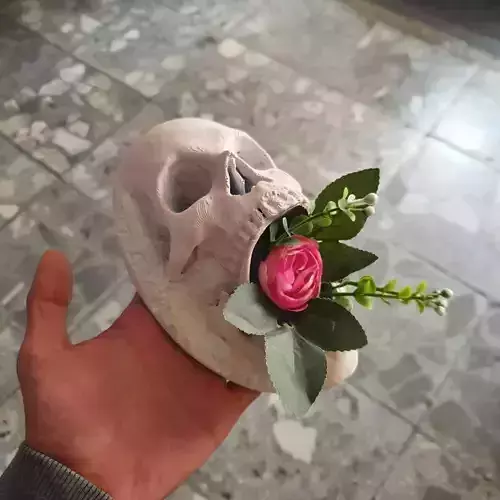 Skull Flowerpot