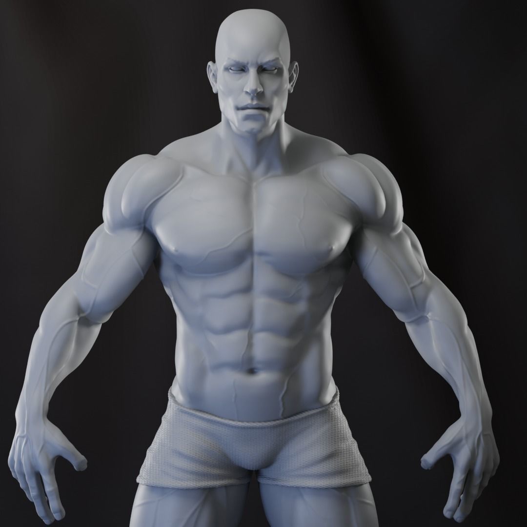 Base Mesh - Strong Male Anatomy 3D model_1