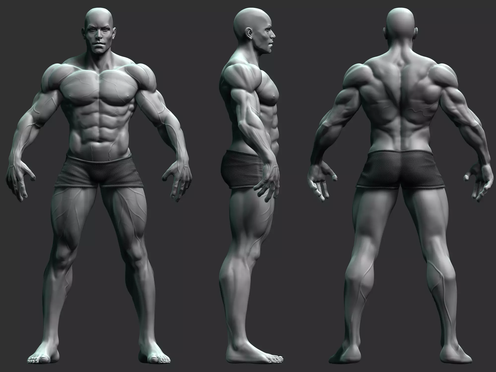 Base Mesh - Strong Male Anatomy 3D model_0