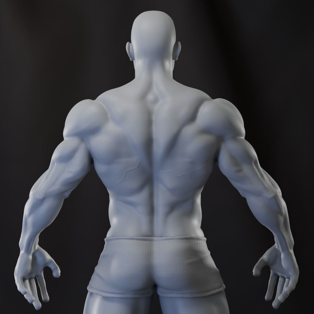 Base Mesh - Strong Male Anatomy 3D model_2