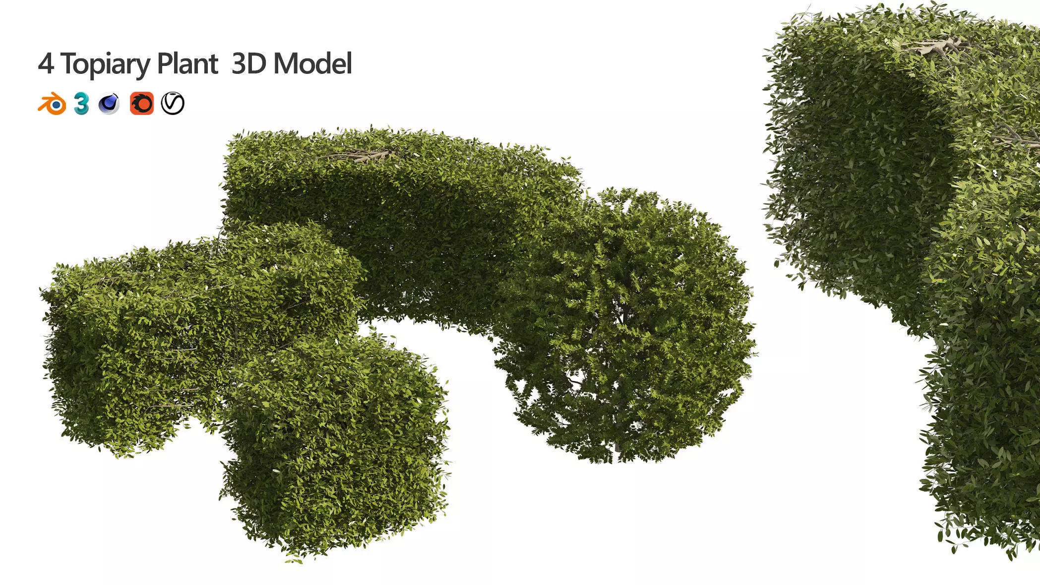 4 shaped topiary plant 3D model_0