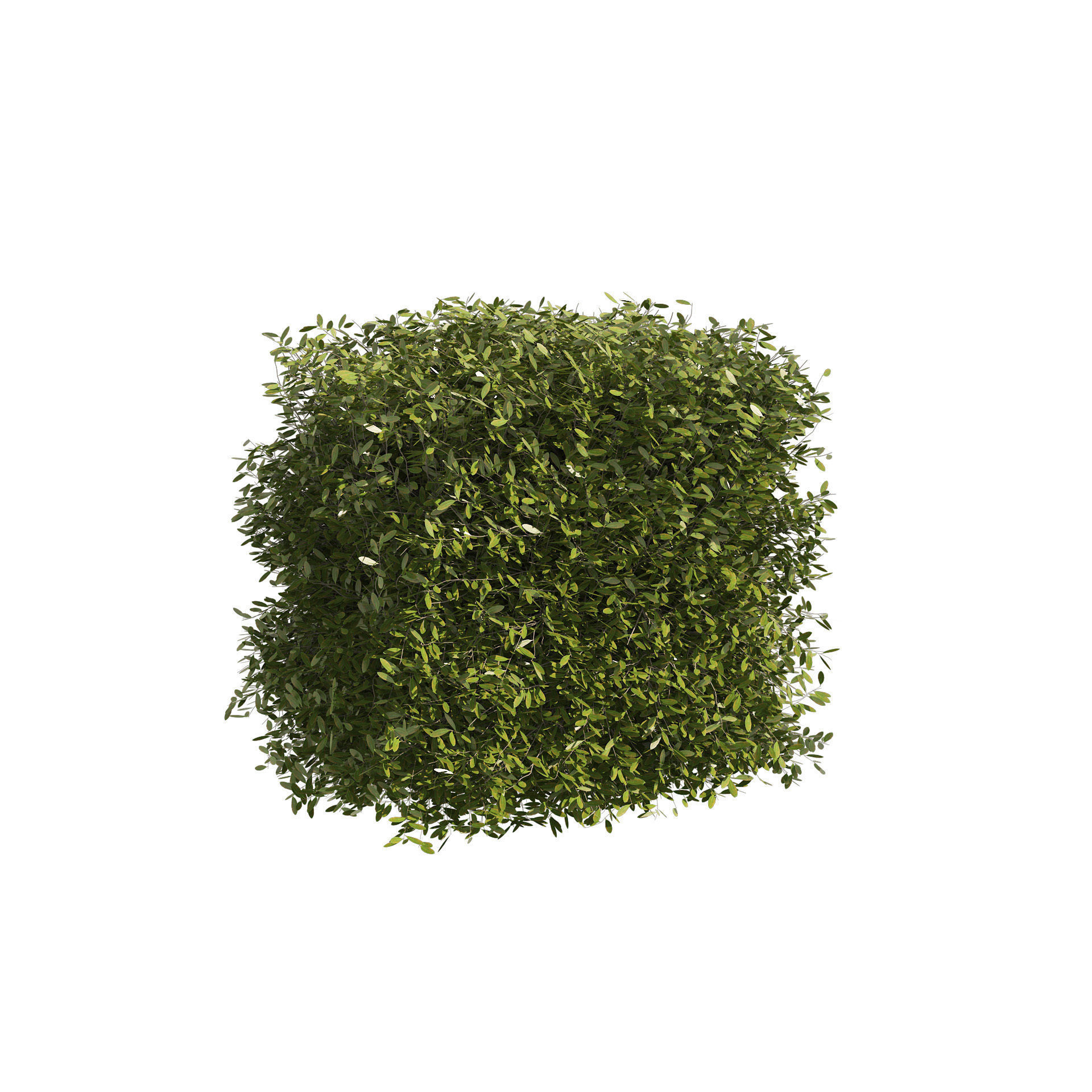 4 shaped topiary plant 3D model_2