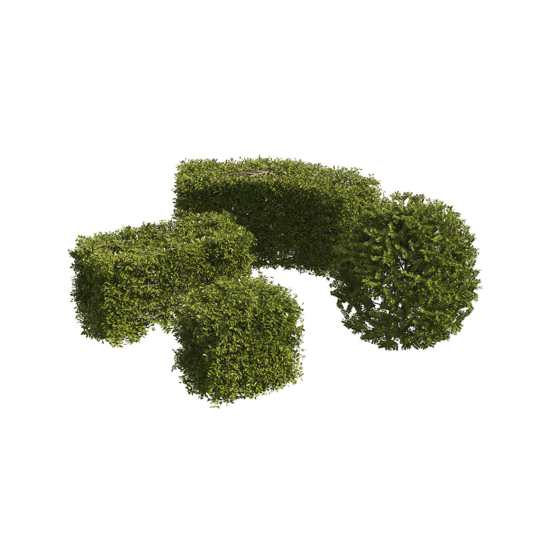 4 shaped topiary plant 3D model_7