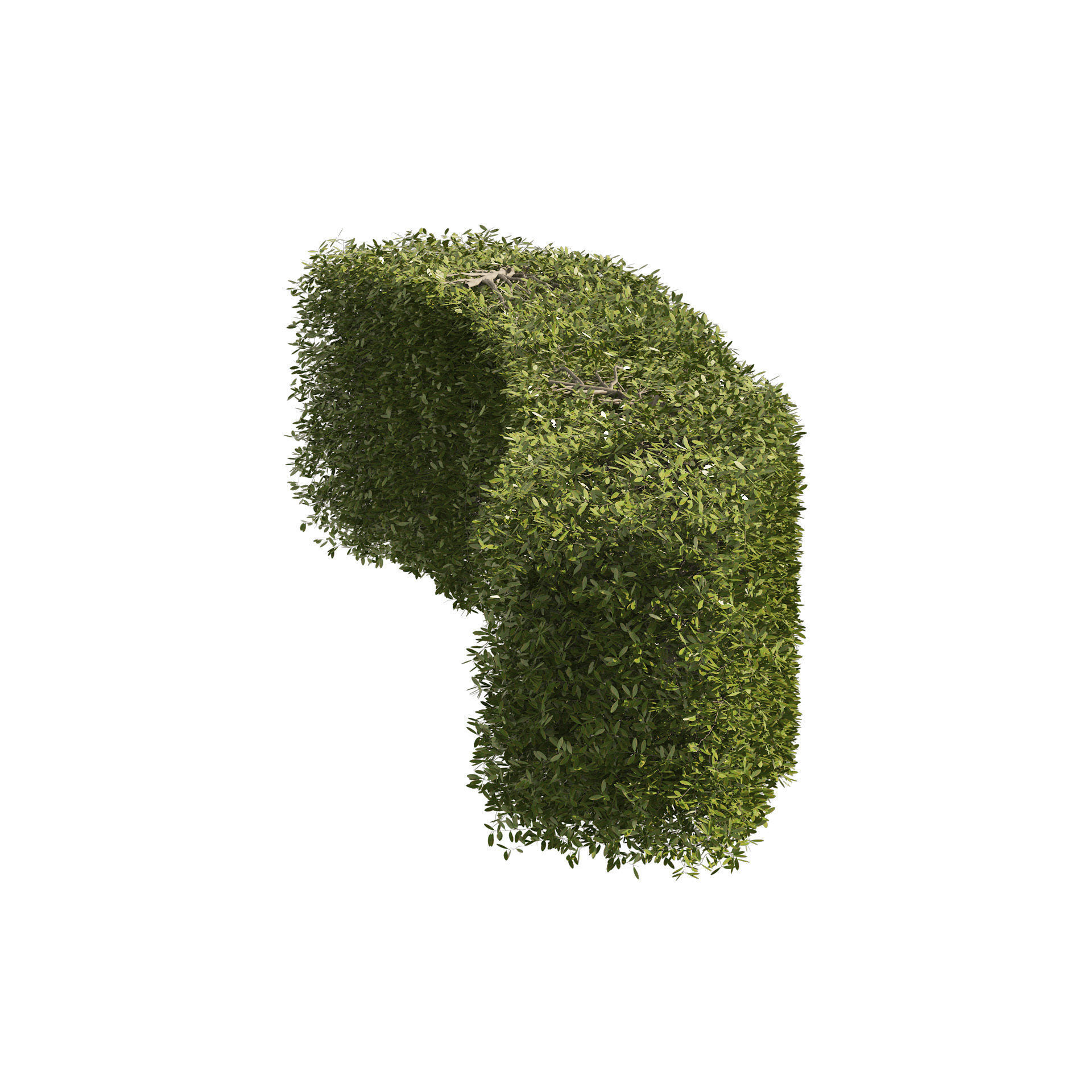 4 shaped topiary plant 3D model_6