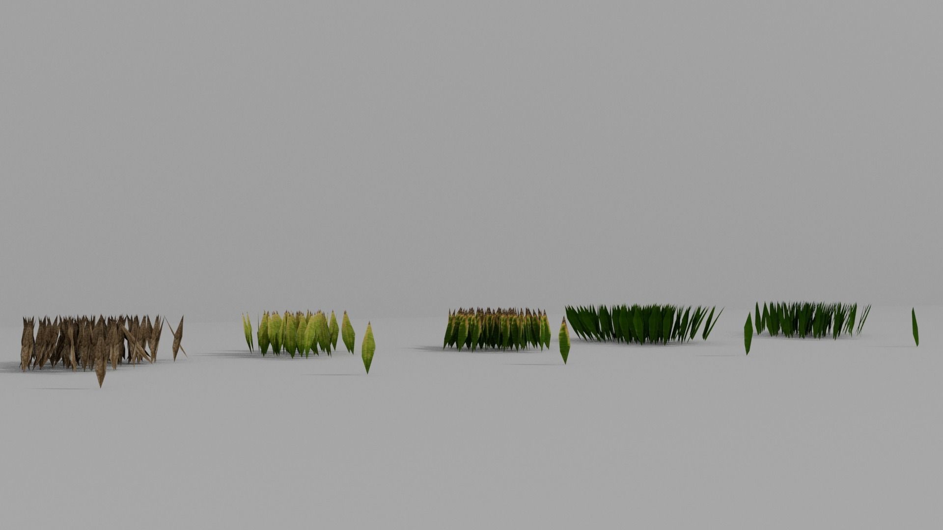 Moss 5 Species and Stones - PBR Asset Kit Low-poly 3D model Low-poly 3D model_3
