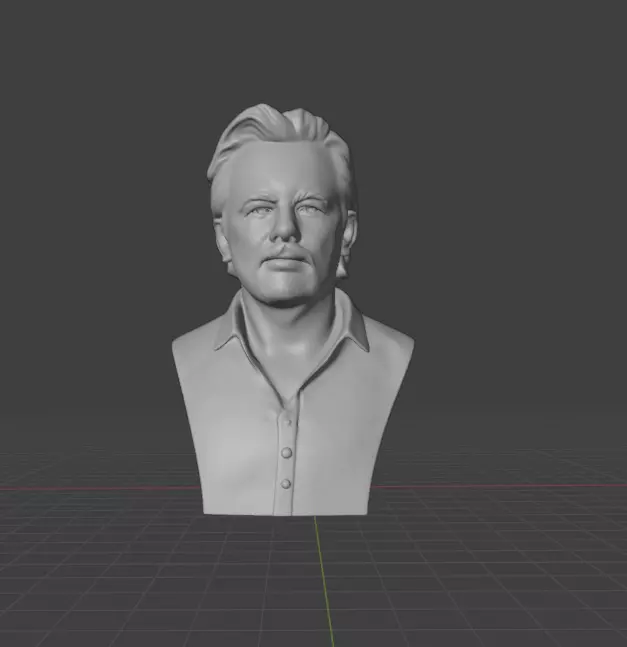 Julian Assange 3D print model_8