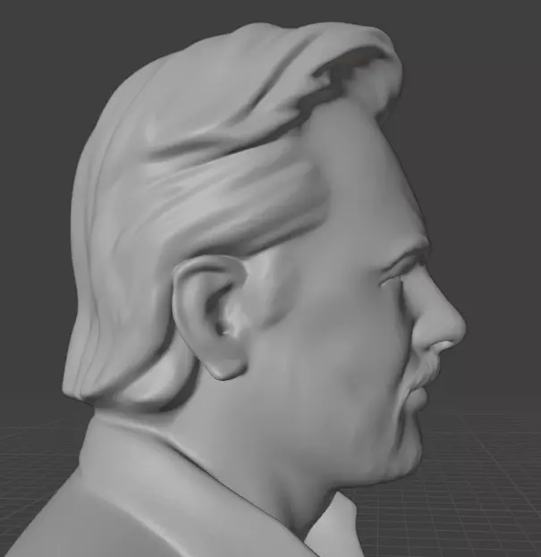 Julian Assange 3D print model_13