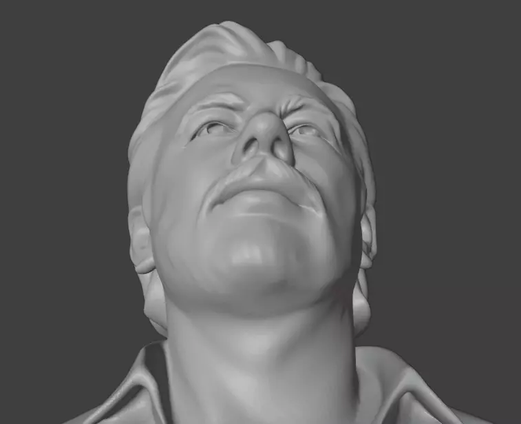 Julian Assange 3D print model_12