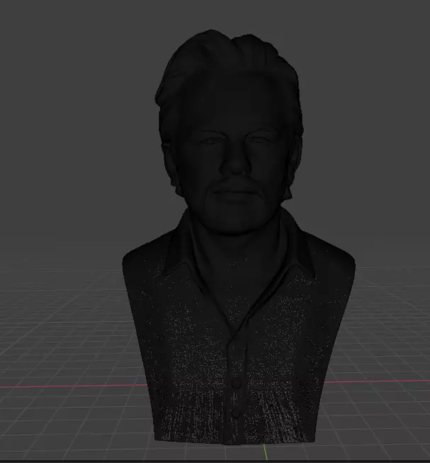 Julian Assange 3D print model_16