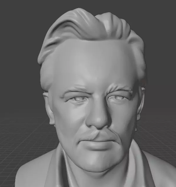 Julian Assange 3D print model_10