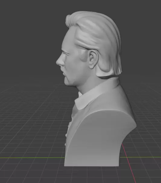 Julian Assange 3D print model_2