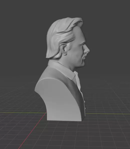 Julian Assange 3D print model_23