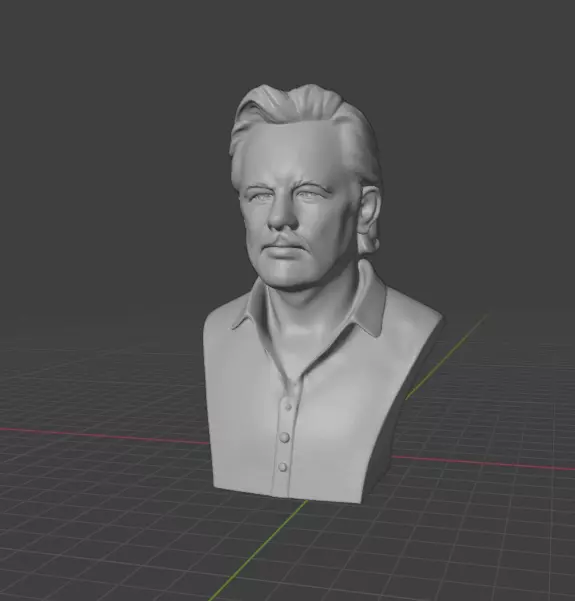Julian Assange 3D print model_7