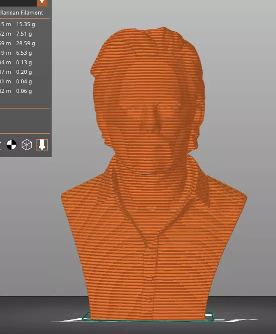 Julian Assange 3D print model_18