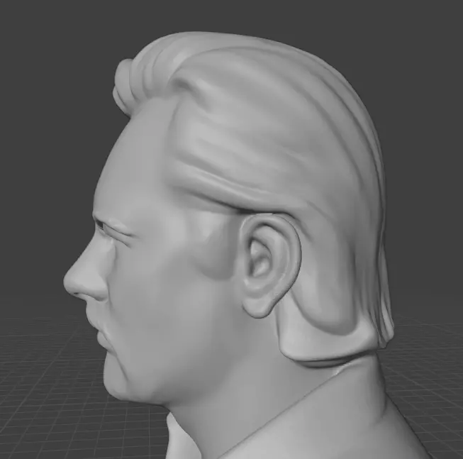 Julian Assange 3D print model_14