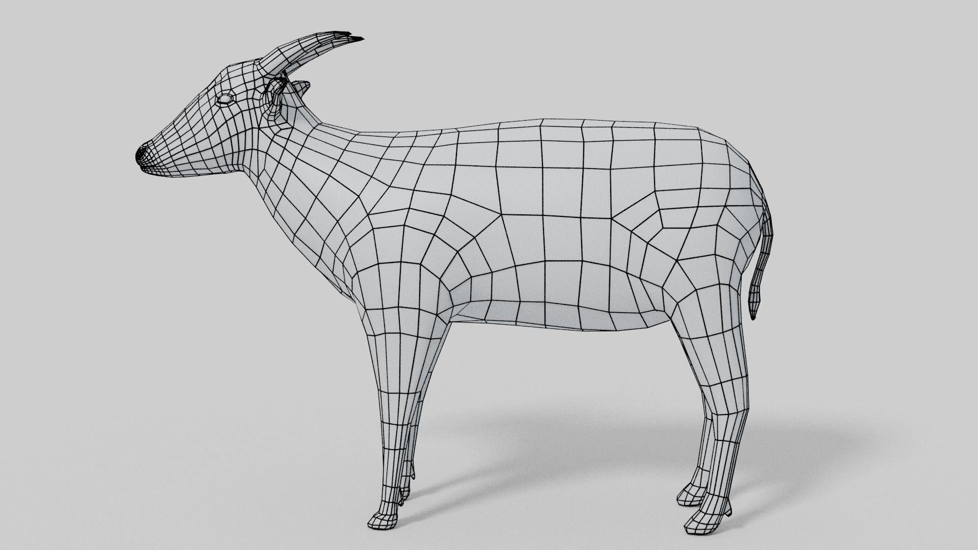 3D Anoa Model goat Low-poly 3D model_3