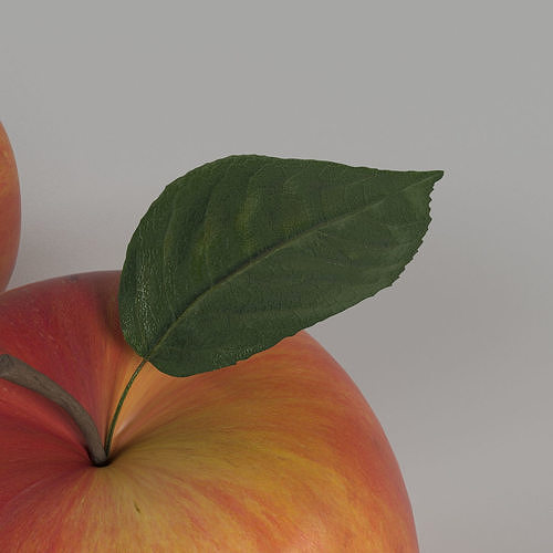 Apple two apples 3D model 5
