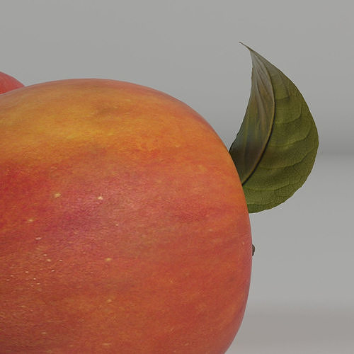 Apple two apples 3D model 7