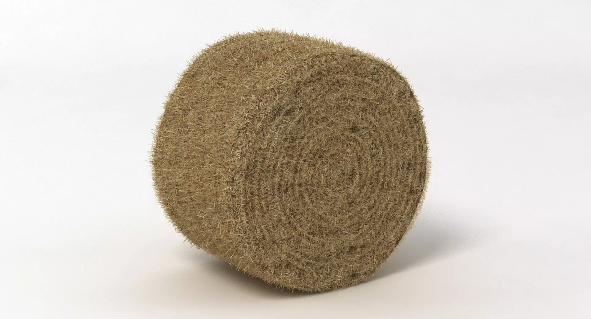Hay Bale 2 3D model_0