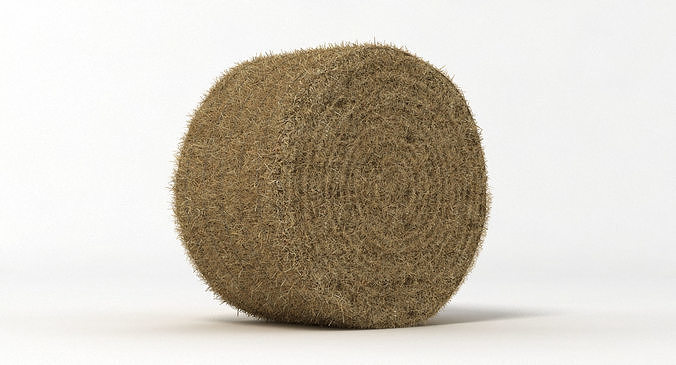Hay Bale 2 3D model 2