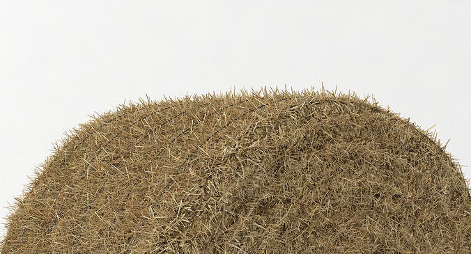 Hay Bale 2 3D model 6