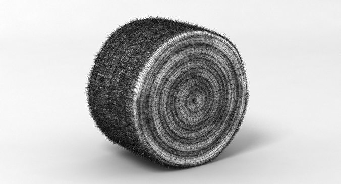 Hay Bale 2 3D model 7