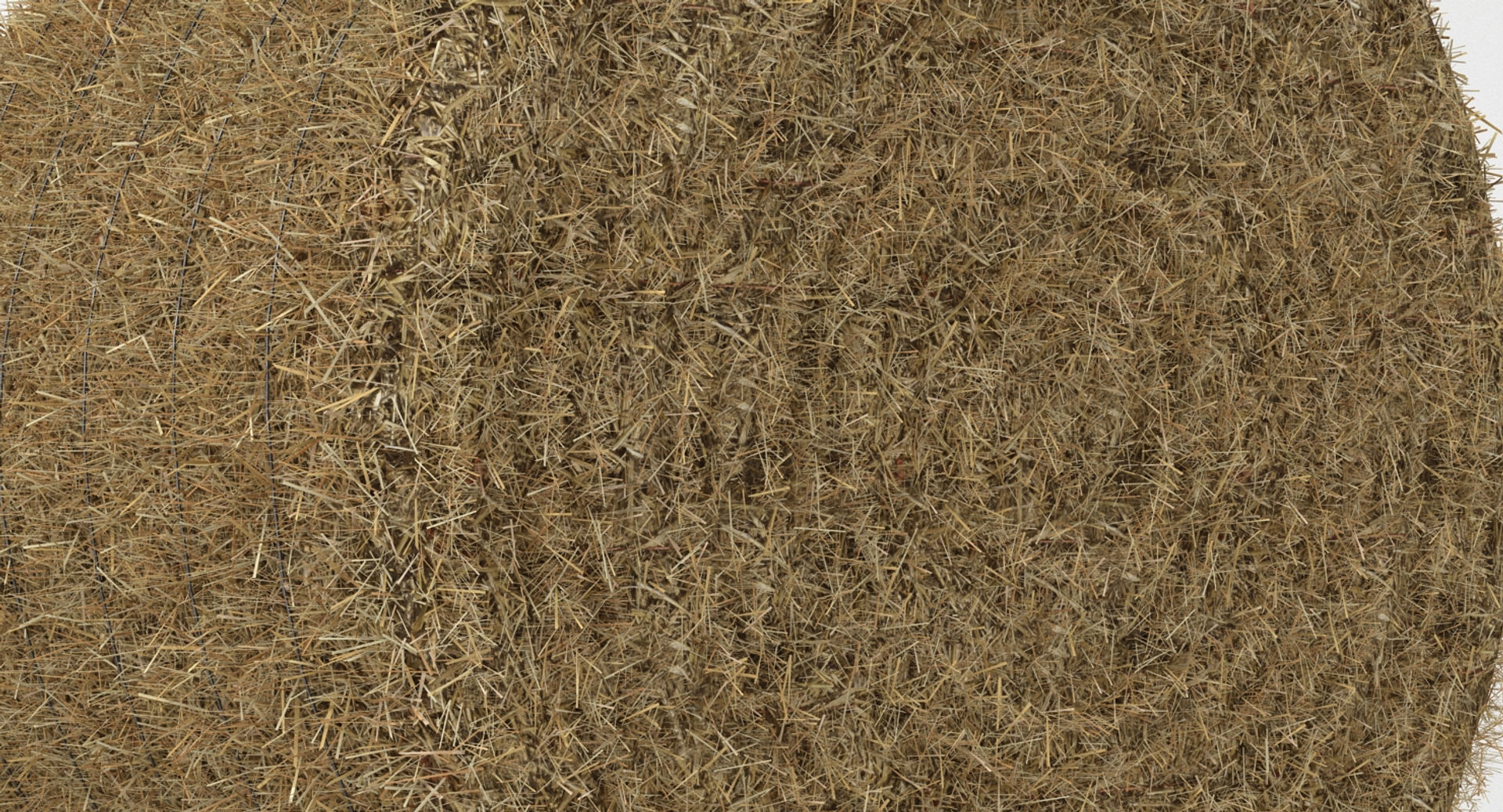 Hay Bale 2 3D model_4