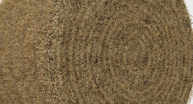 Hay Bale 2 3D model 5