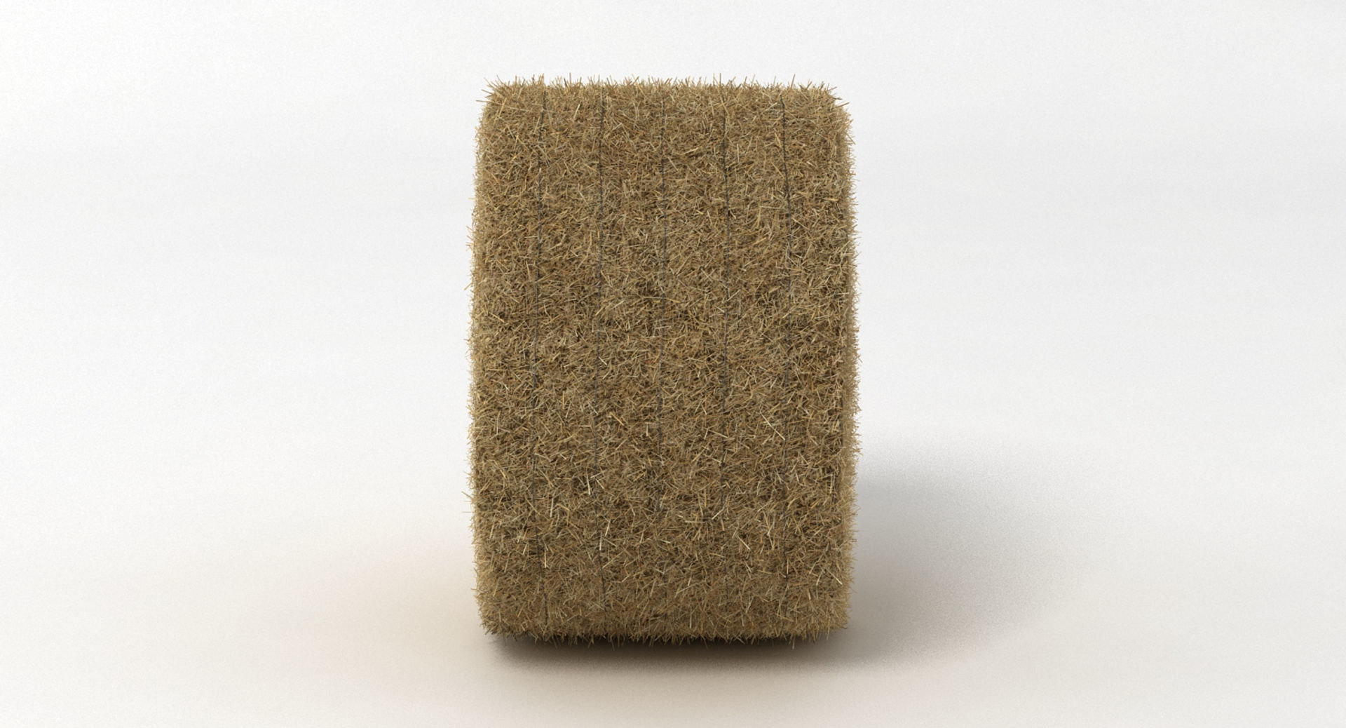 Hay Bale 2 3D model_2