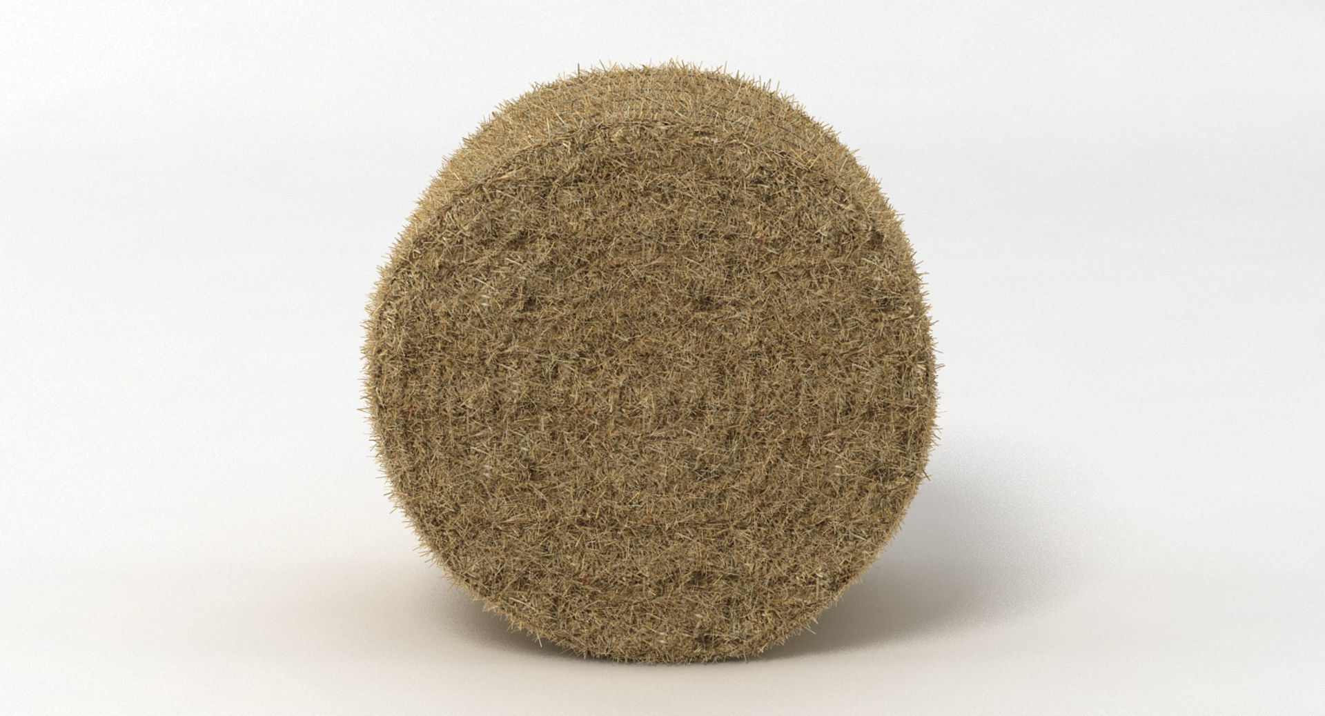 Hay Bale 2 3D model_3