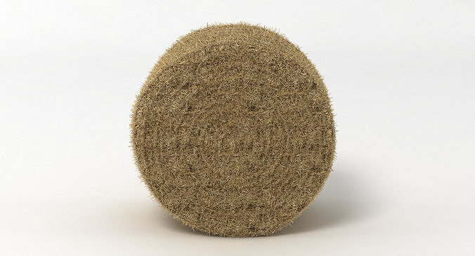 Hay Bale 2 3D model 4
