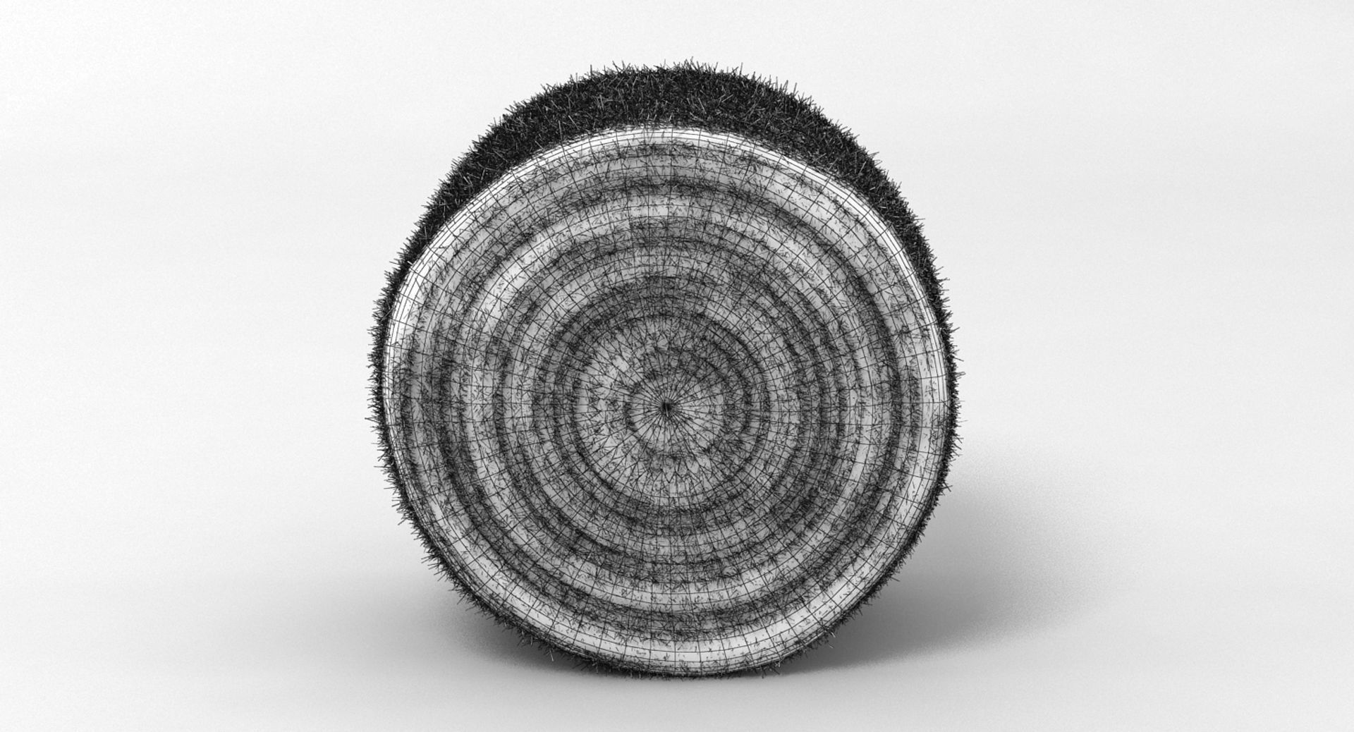 Hay Bale 2 3D model_8