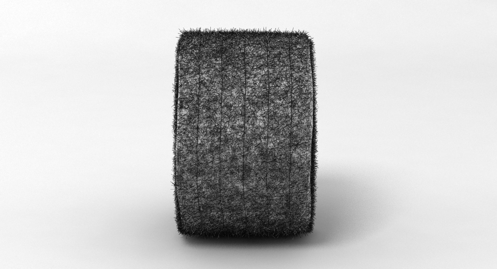 Hay Bale 2 3D model_7