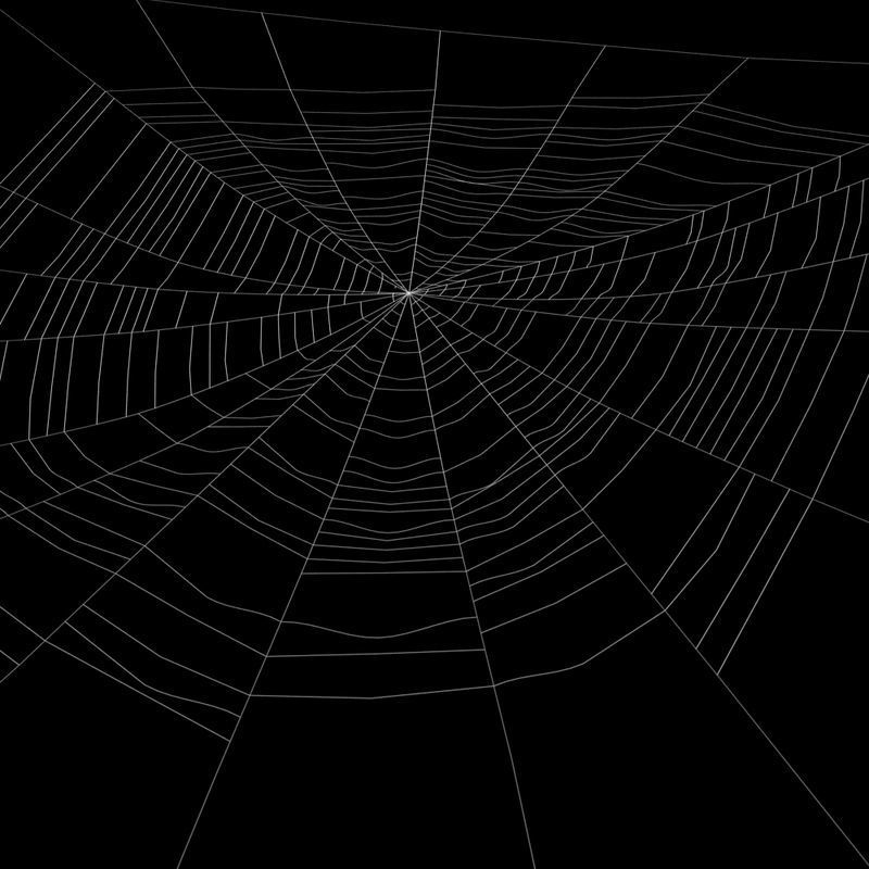Spiderweb 2 3D model_7