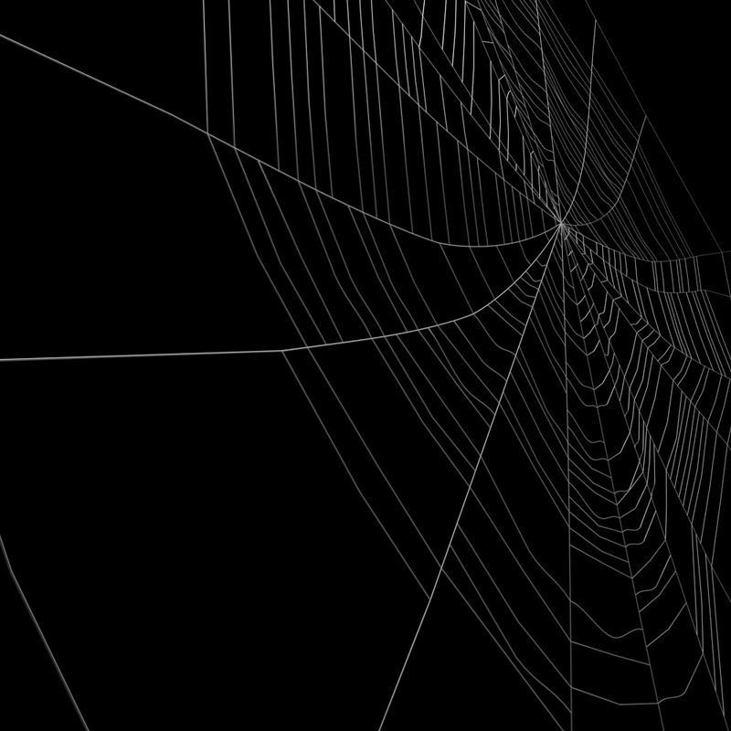 Spiderweb 2 3D model_2