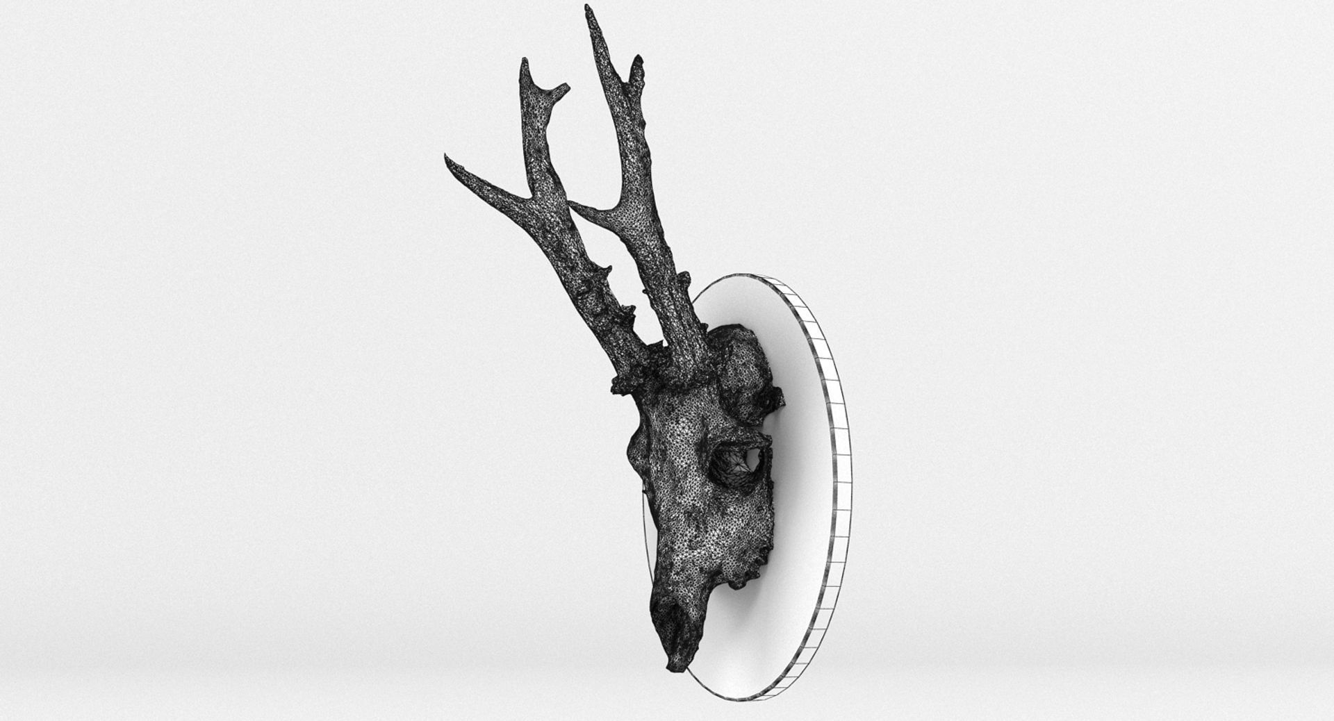 Deer Skull Wall Trophy 3D model_8