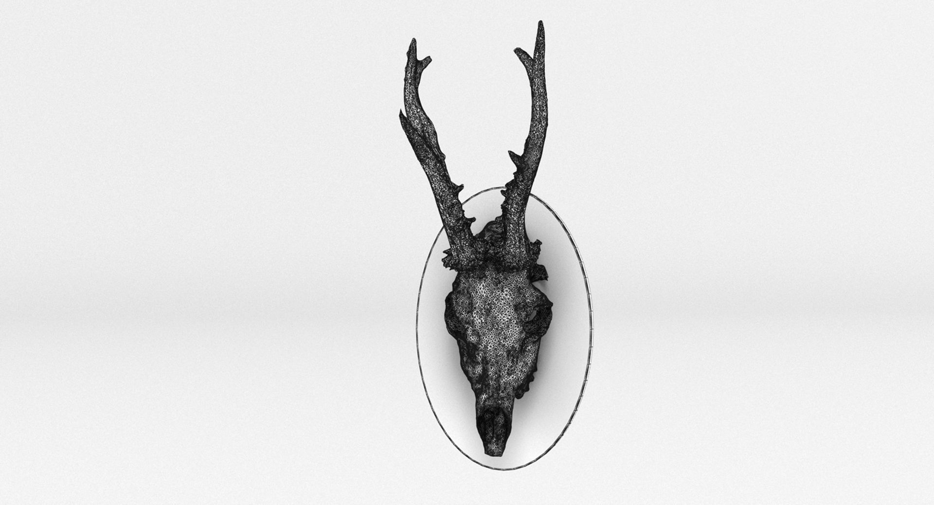 Deer Skull Wall Trophy 3D model_7
